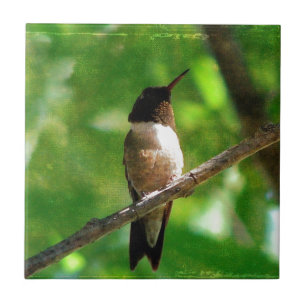 Hummingbird Morning Ceramic Tile