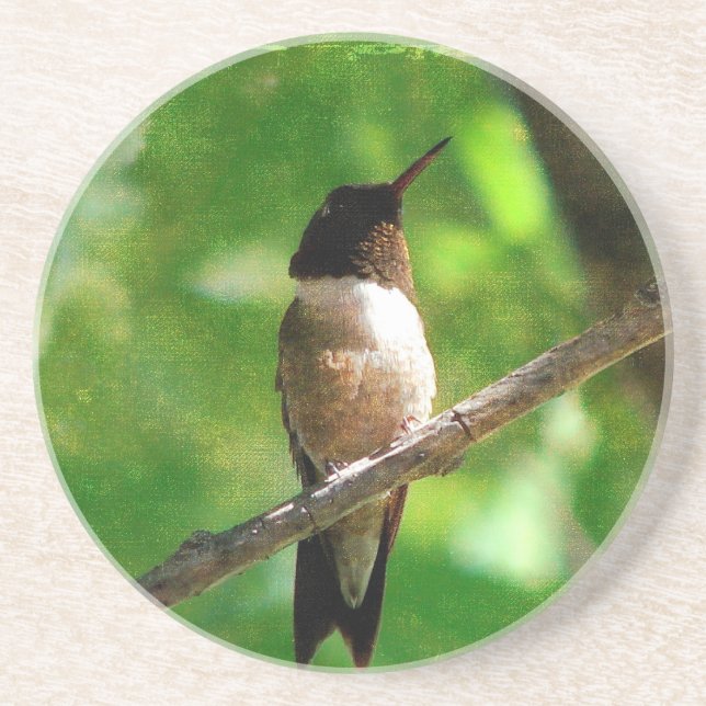 Hummingbird Morning Coaster (Front)