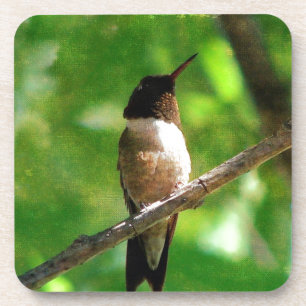 Hummingbird Morning Coaster