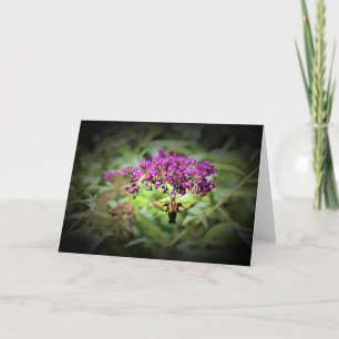 Hummingbird Moth, card