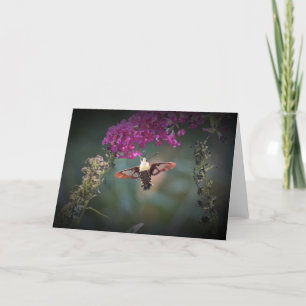 Hummingbird Moth, card