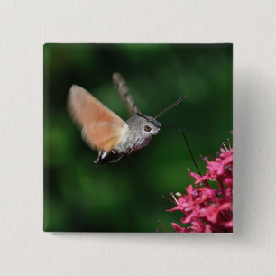 Hummingbird moth hovering 15 cm square badge