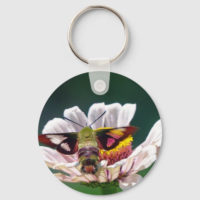 Hummingbird Moth Key Ring (Front)