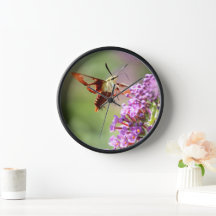 Hummingbird Moth on a Butterfly Bush 