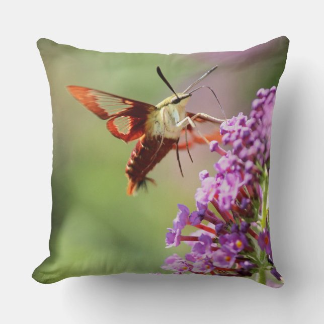 Hummingbird Moth on a Butterfly Bush  Cushion (Front)