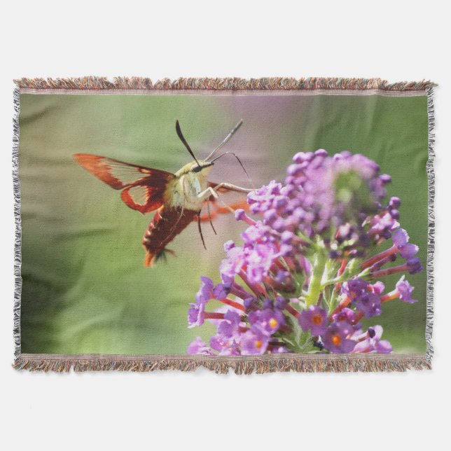 Hummingbird Moth on a Butterfly Bush  Throw Blanket (Front)