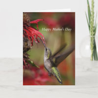 Hummingbird Mother's Day card