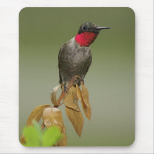 Hummingbird Mouse Pad