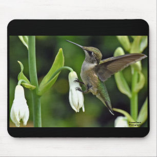 Hummingbird Mouse Pad
