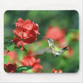 Hummingbird Mouse Pad
