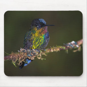 Hummingbird Mouse Pad