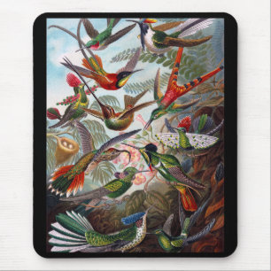 Hummingbird Mouse Pad