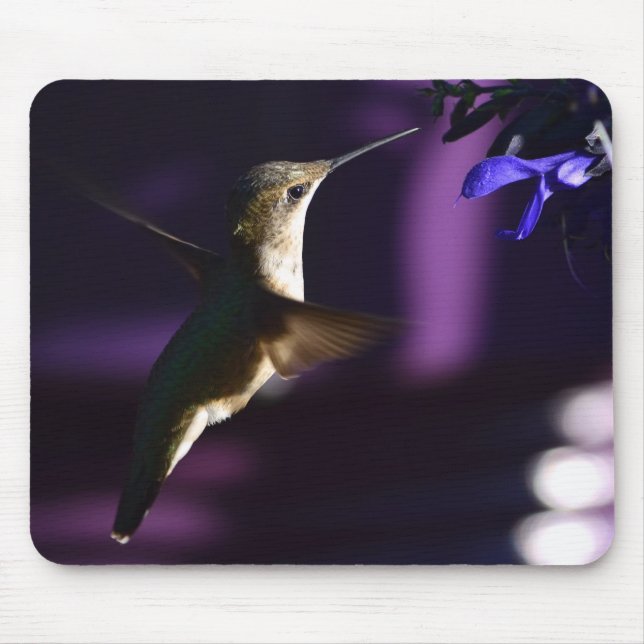 Hummingbird Mouse Pad (Front)