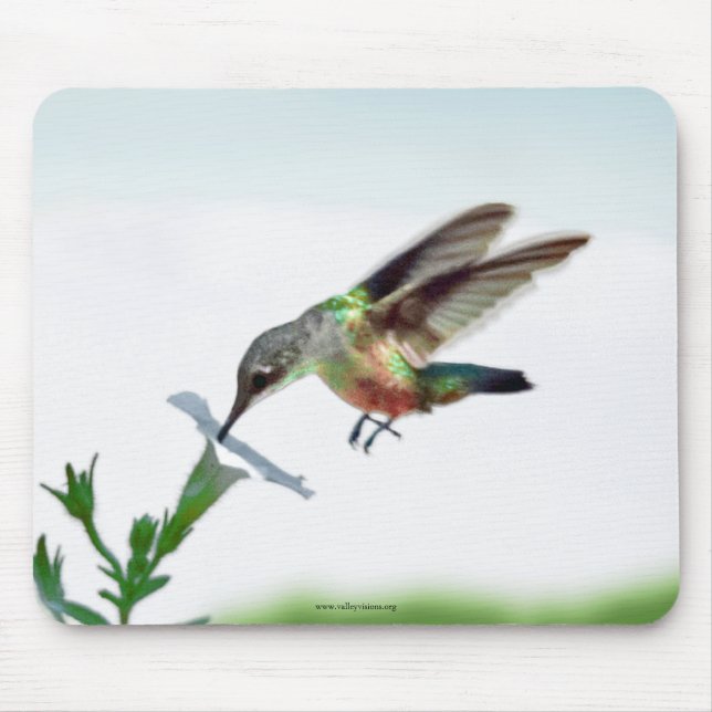 Hummingbird Mouse Pad (Front)