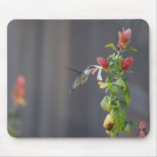 Hummingbird Mouse Pad