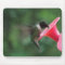 hummingbird mousepad