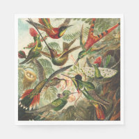 Hummingbird Napkins or Decoupage