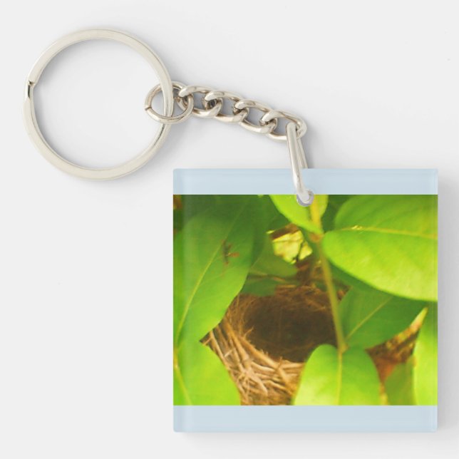 Hummingbird Nest Blue Acrylic Keychain (Front)