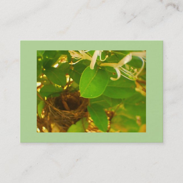 Hummingbird Nest Business Card (Front)