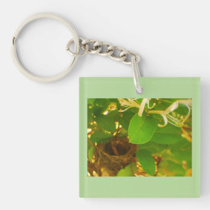 Hummingbird Nest Honeysuckle Key Ring