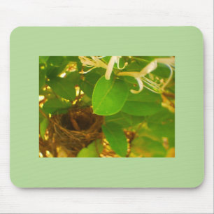 Hummingbird Nest Honeysuckles Mouse Pad
