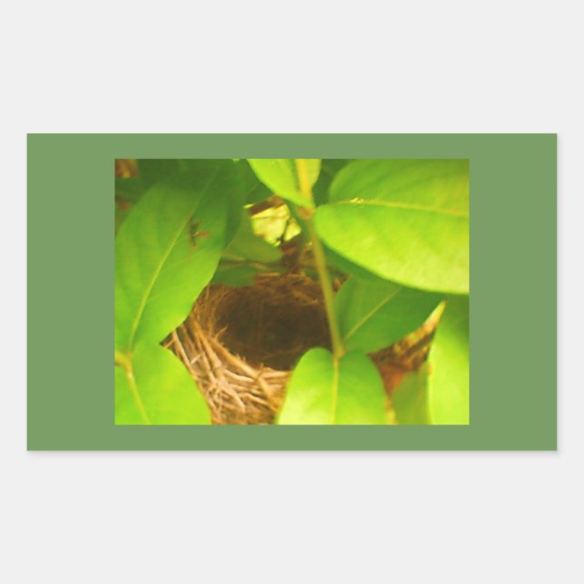 Hummingbird Nest Rectangular Sticker (Front)
