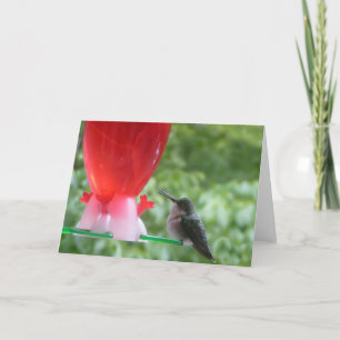 Hummingbird Note Card