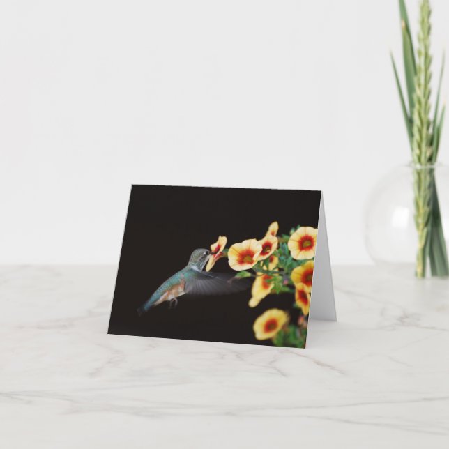 Hummingbird Note Card (blank) (Front)