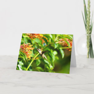 Hummingbird Note Card <Blank Inside>