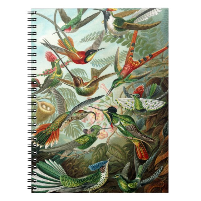 Hummingbird Notebook (Front)