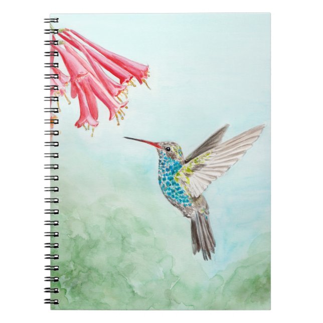 Hummingbird notebook (Front)