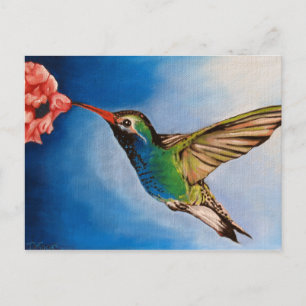 Hummingbird Oil Painting Postcard
