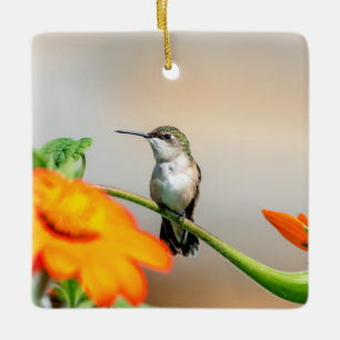 Hummingbird on a flowering plant ceramic ornament
