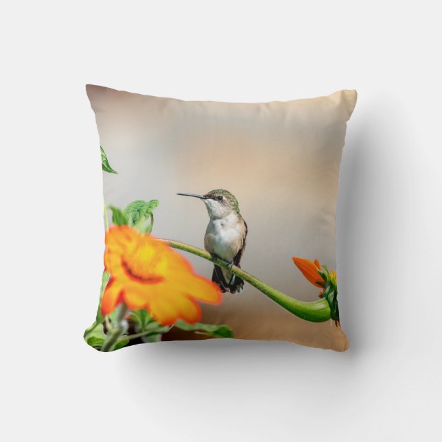 Hummingbird on a flowering plant cushion (Front)