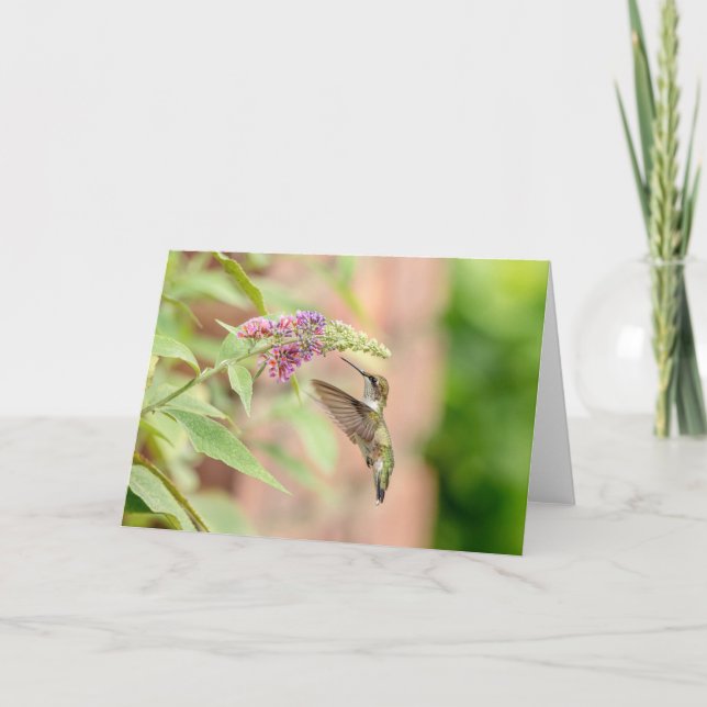 Hummingbird on a flowering plant holiday card (Front)