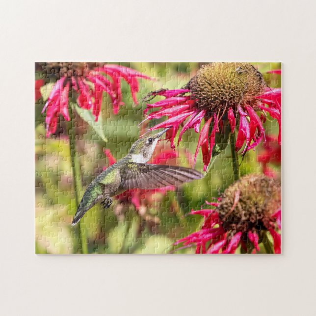 Hummingbird on a flowering plant jigsaw puzzle (Horizontal)