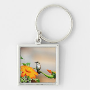 Hummingbird on a flowering plant key ring