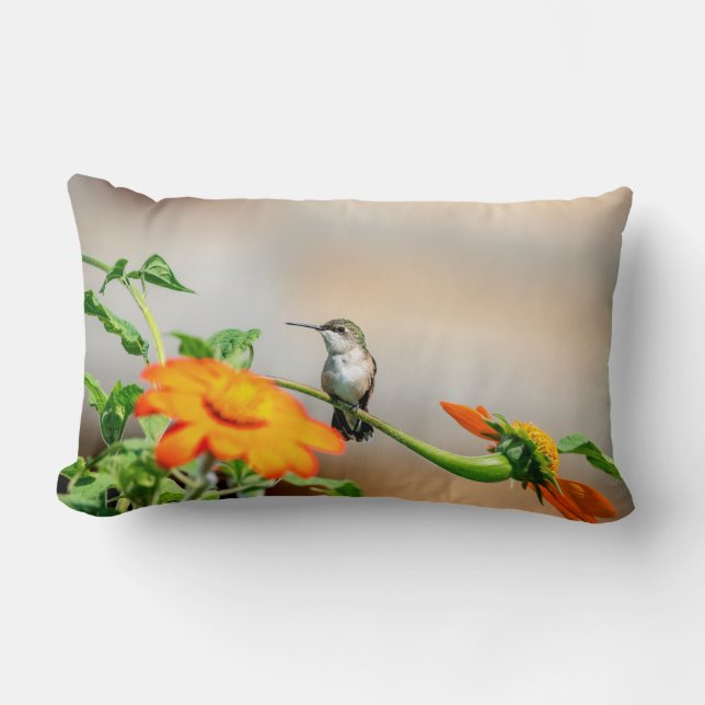 Hummingbird on a flowering plant lumbar cushion (Front)