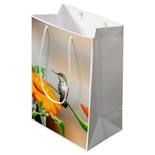 Hummingbird on a flowering plant medium gift bag (Front Angled)