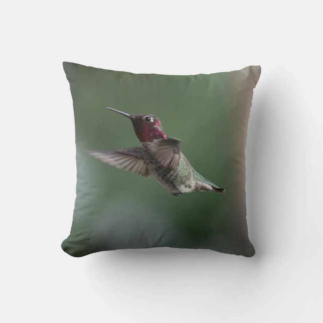 Hummingbird on a Pillow with Apache Saying (Front)