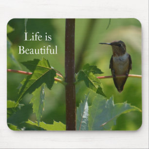 Hummingbird on Branch (photo by me) Mouse Pad