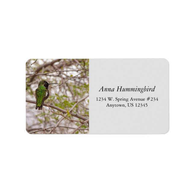 Hummingbird On Branch Spring Time Green Colours Label (Front)
