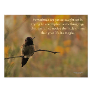 Hummingbird On Branch Warm Yellow Green Colours Photo Print