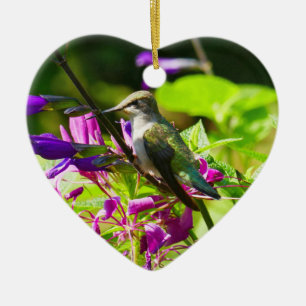 Hummingbird on Hummingbird Mint Colourful Nature Ceramic Ornament