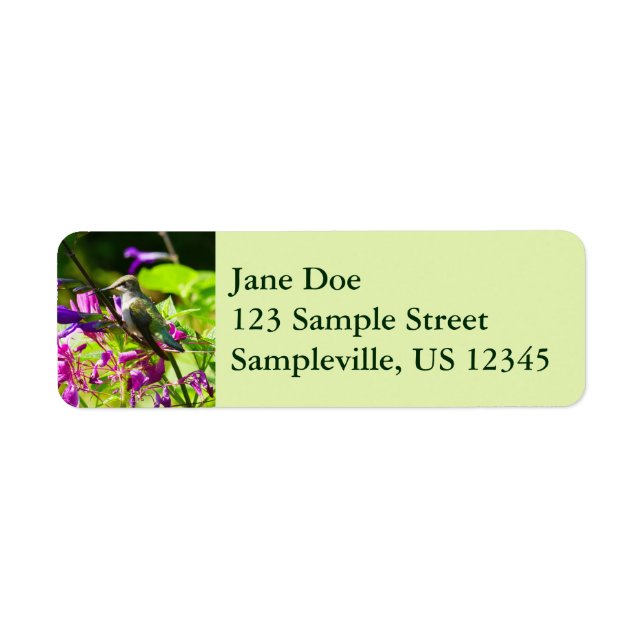Hummingbird on Hummingbird Mint Return Address Label (Front)