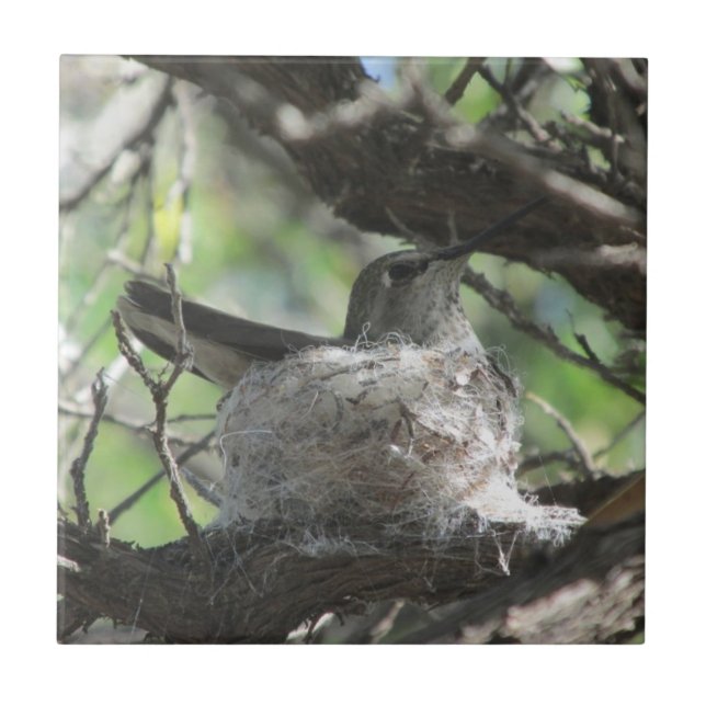 Hummingbird on Nest Tile (Front)