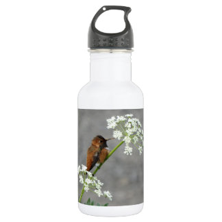 Hummingbird on Queen Ann's lace flower 532 Ml Water Bottle
