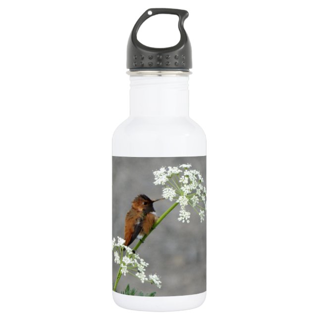 Hummingbird on Queen Ann's lace flower 532 Ml Water Bottle (Front)