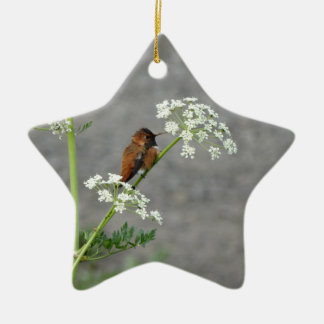 Hummingbird on Queen Ann's lace flower Ceramic Ornament