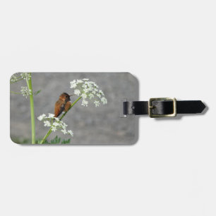 Hummingbird on Queen Ann's lace flower Luggage Tag